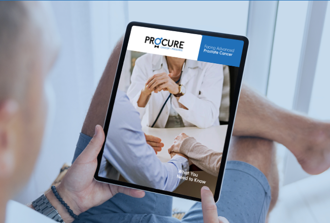 Screenshot of the brochure